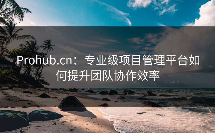 Prohub.cn：专业级项目管理平台如何提升团队协作效率