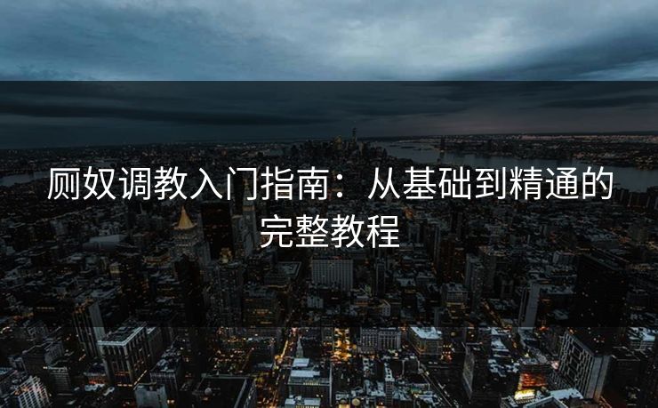 厕奴调教入门指南：从基础到精通的完整教程