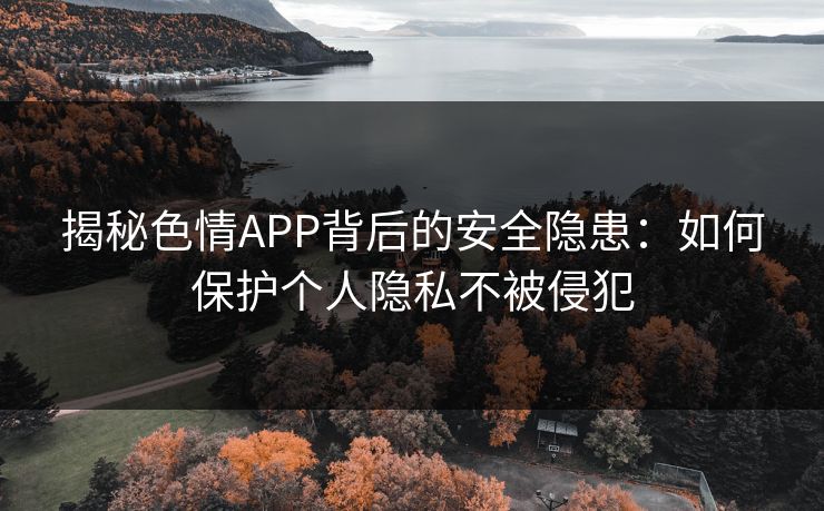 揭秘色情APP背后的安全隐患：如何保护个人隐私不被侵犯